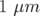 1μm  