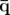 ¯q