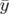 ¯y