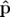 ˆp