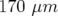 170 μm  
