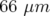 66 μm  