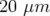 20 μm  