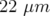 22 μm  