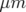 μm  