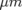 μm  