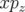 xpz  