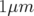 1μm  